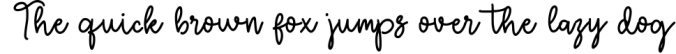 Royattin Modern Calligraphy Monoline Font Preview
