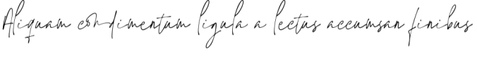 Jaccuzy Signature Font Preview