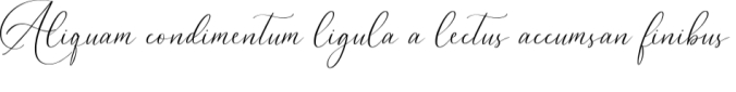 Dagtton Font Preview