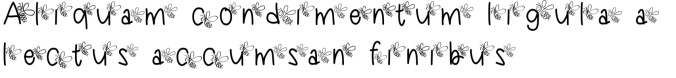 Dragonfly Kid Font Preview