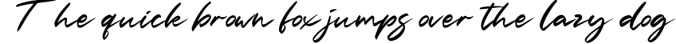 Slash Signature Font Preview