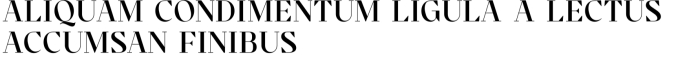 Cronisse Font Preview