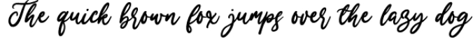 Merry Holly - A Modern Script Font Font Preview