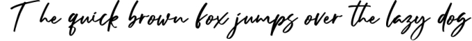 Jasson Gillen- Stylish Signature Font Font Preview
