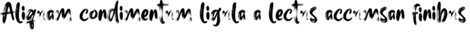 Billynesia Font Preview