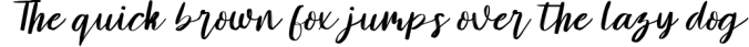 Amelliz - Calligraphy Brush Font Font Preview