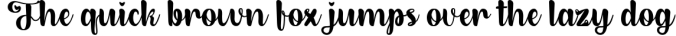 Dirly Belly - Lovely Calligraphy Font Font Preview