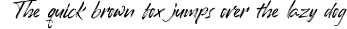 Romantika Hidup - Dry Brush Script Font Font Preview