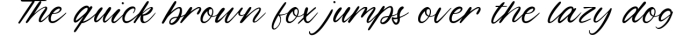Hippotail Beautiful Modern Handwritten Font Font Preview