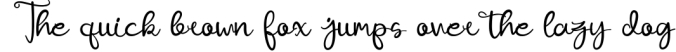 Ajuslly - Modern Calligraphy Font Font Preview