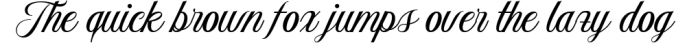 Aetrina Elegant Script Display Font Preview