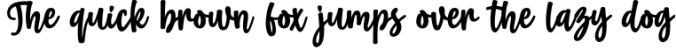 Wishline - Cute Script Font Preview