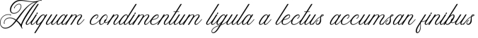 Soulvacation Font Preview