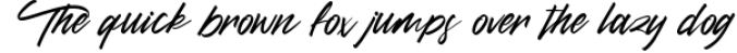 Diettersen Script Calligraphy Font Font Preview