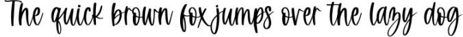 Augustine - Handwritten Script Font Font Preview