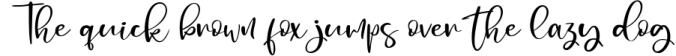 Heartbright Handwritten Script Font Font Preview