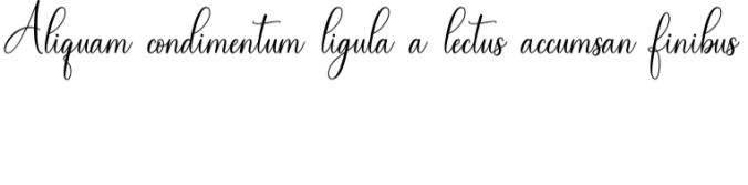 Magnolia Font Preview