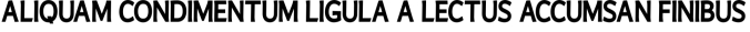Wale Vintage Font Preview