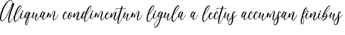 Neradila Font Preview