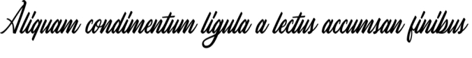 Callalily Font Preview
