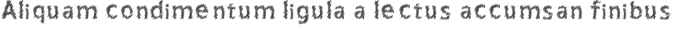 Corret Font Preview