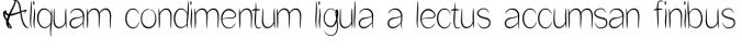 Flower in the Window Font Preview
