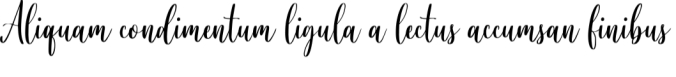 Namaqua Font Preview