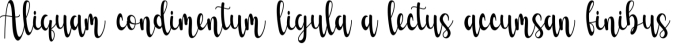Cactus Font Preview