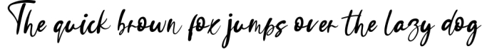 Signature Font Preview