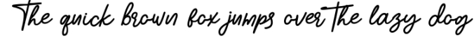 Ballinyk - Handwritten Font Font Preview
