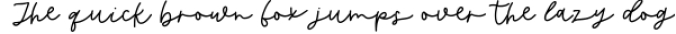 Butternut Script Font Font Preview