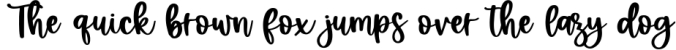 Festive - Handwritten Script Font Font Preview