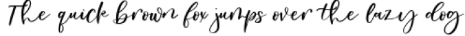 Oakley May Calligraphy Font Font Preview