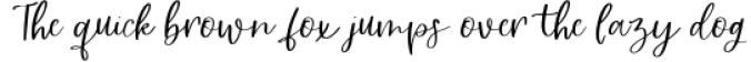 Riviera Mexicana Calligraphy Script Font Preview