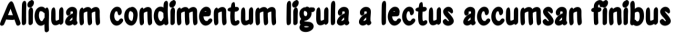 Education Font Preview