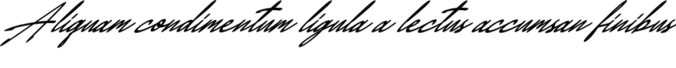 Austin Font Preview