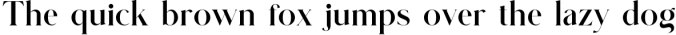 Glitten || Ligature Serif Font Font Preview