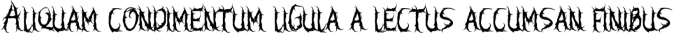 Elastika Font Preview