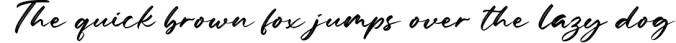 Amelliyo-Handwritten Font Font Preview