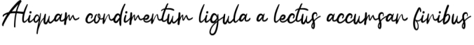 Handwritten Font Preview