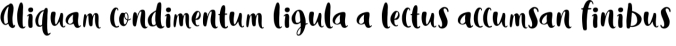 Morina Rosella Font Preview