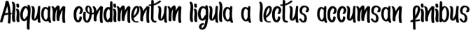 Business Font Preview