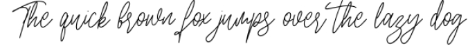 Angellica Signature Script Font Font Preview