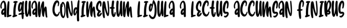 Sandroe Font Preview