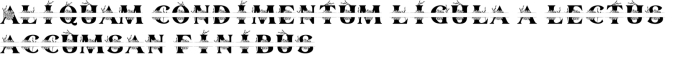Merchania Monogram Font Preview