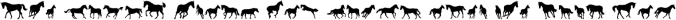 Racing horses Font Preview