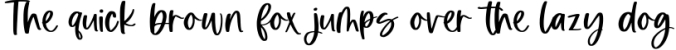 Pumpkin Harvest - Modern Handwritten Script Font Font Preview