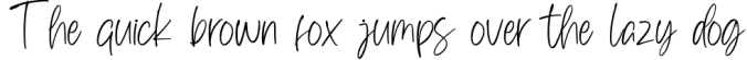 Alisking-Handwritten Font Font Preview