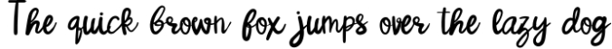 Welcome Home - A Cute Modern Classic Handwritten Script font Font Preview