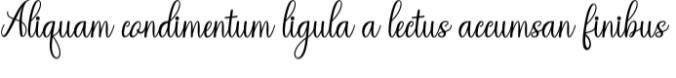 Regina Lover Font Preview